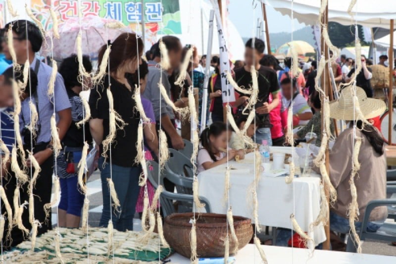 錦山高麗人蔘祭り (6/21)