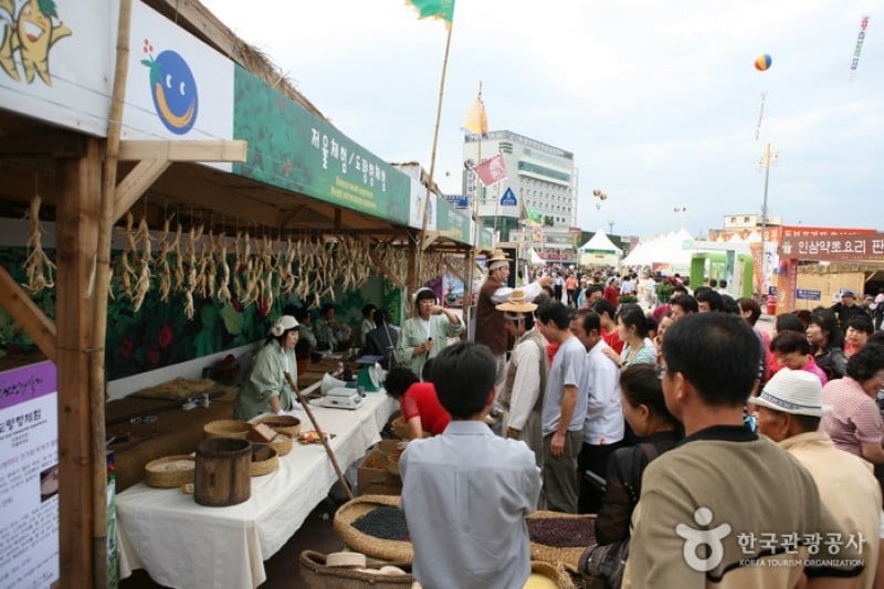 錦山高麗人蔘祭り (13/21)