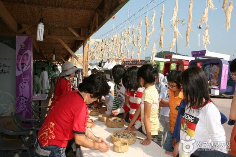 錦山高麗人蔘祭り (14/21)