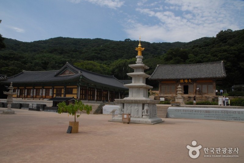 修徳寺 (7/34)