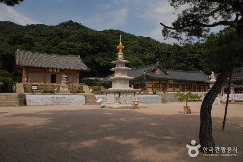 修徳寺 (9/34)