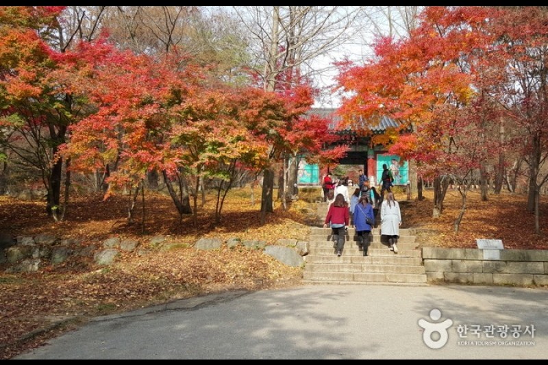 修徳寺 (25/34)