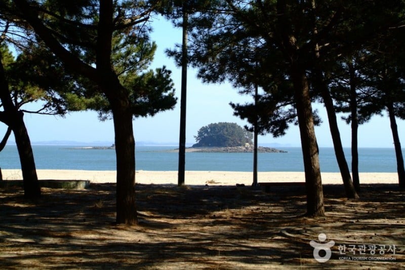 恋浦海水浴場 (4/6)