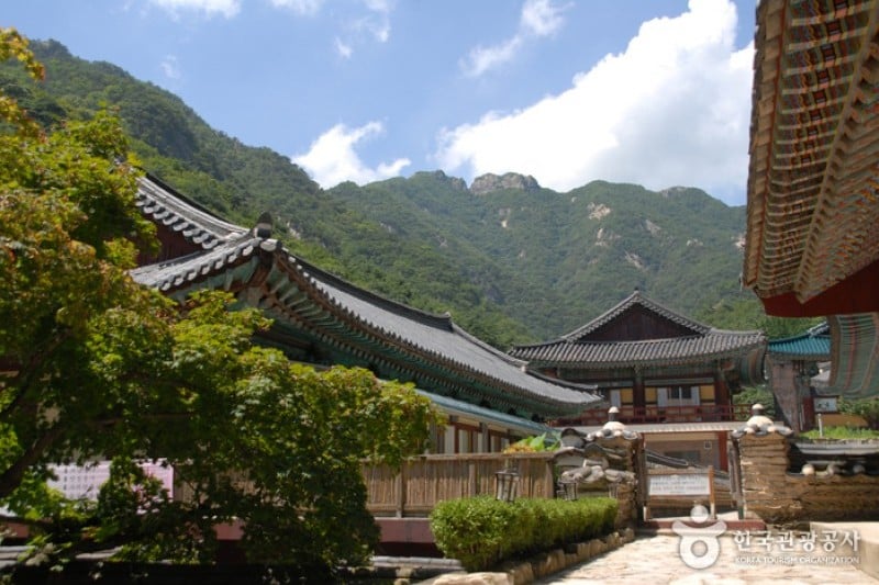 東鶴寺 (3/24)