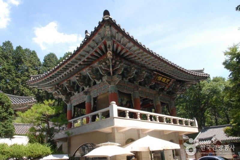 東鶴寺 (4/24)