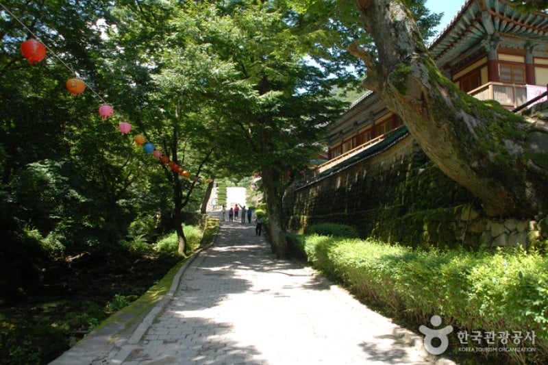 東鶴寺 (5/24)