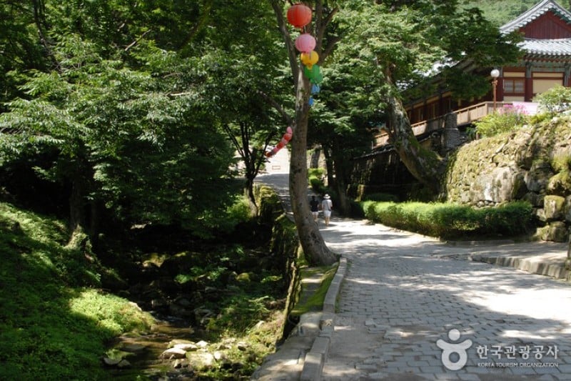 東鶴寺 (6/24)
