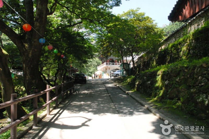 東鶴寺 (7/24)