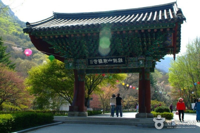 東鶴寺 (20/24)