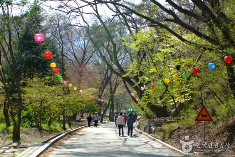 東鶴寺 (21/24)