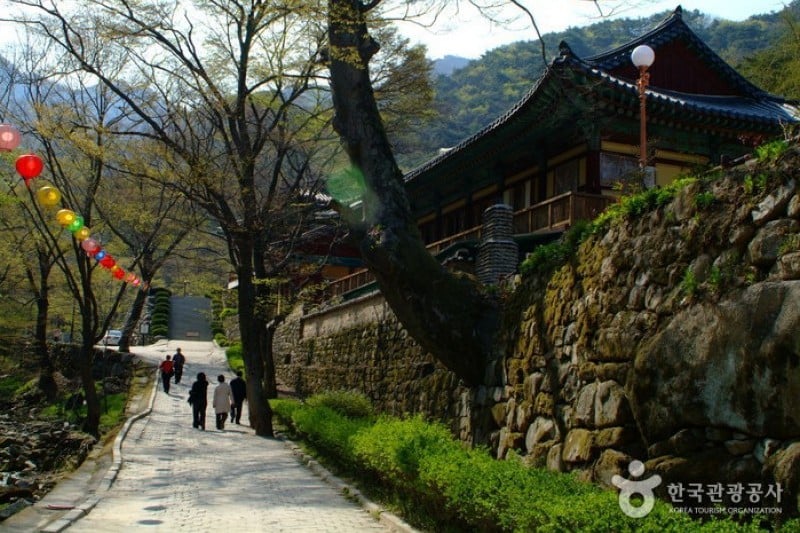東鶴寺 (24/24)