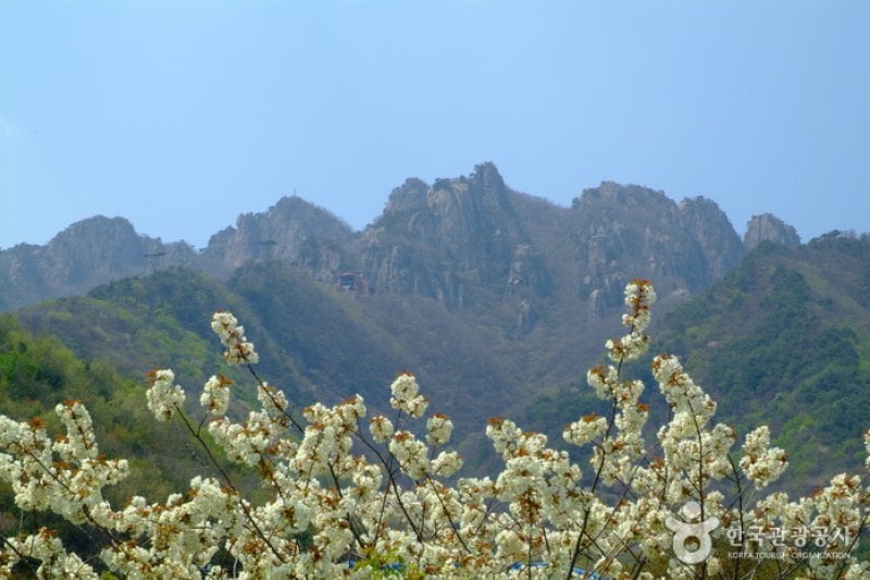 大屯山道立公園（錦山地域）（대둔산도립공원(금산지역)） (9/36)