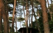 安眠島自然休養林