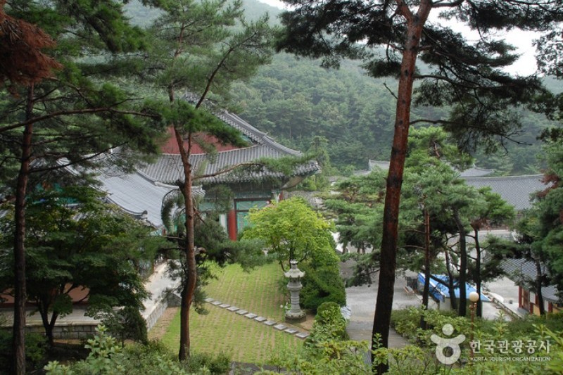覚願寺 (4/11)