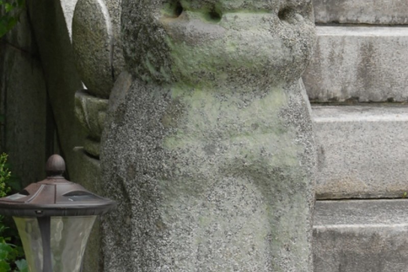 広徳寺 (8/26)