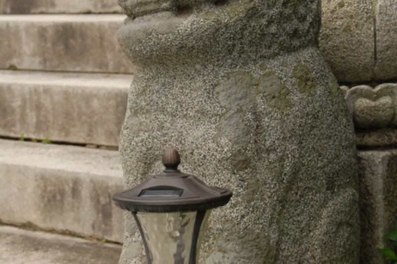 広徳寺 (11/26)