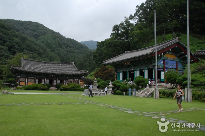 広徳寺 (16/26)