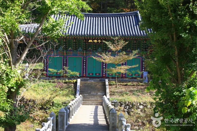 広徳寺 (25/26)