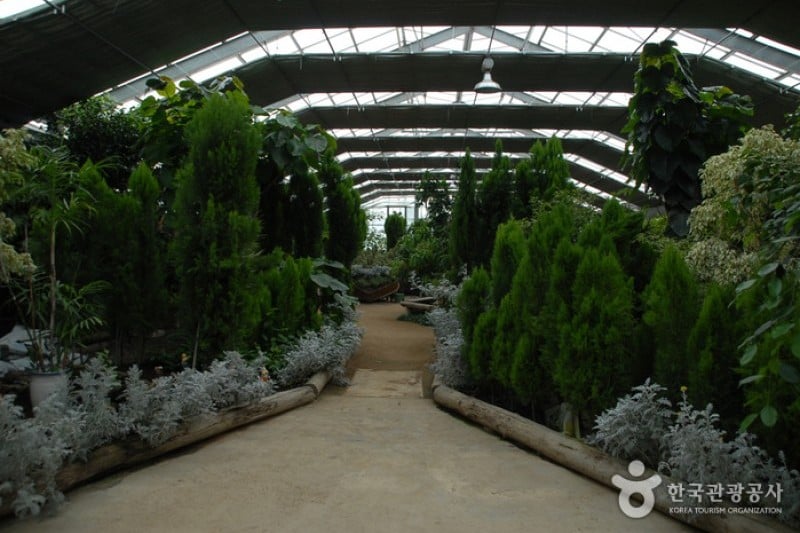 世界花植物園 (2/31)