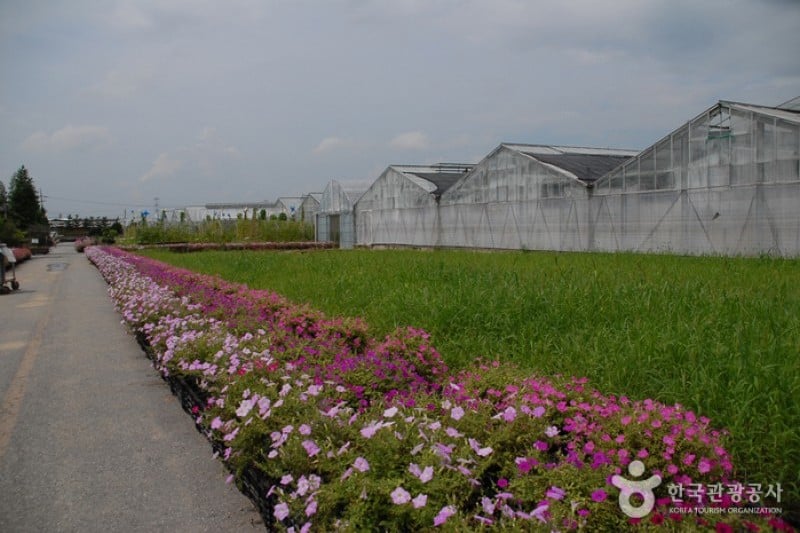 世界花植物園 (3/31)
