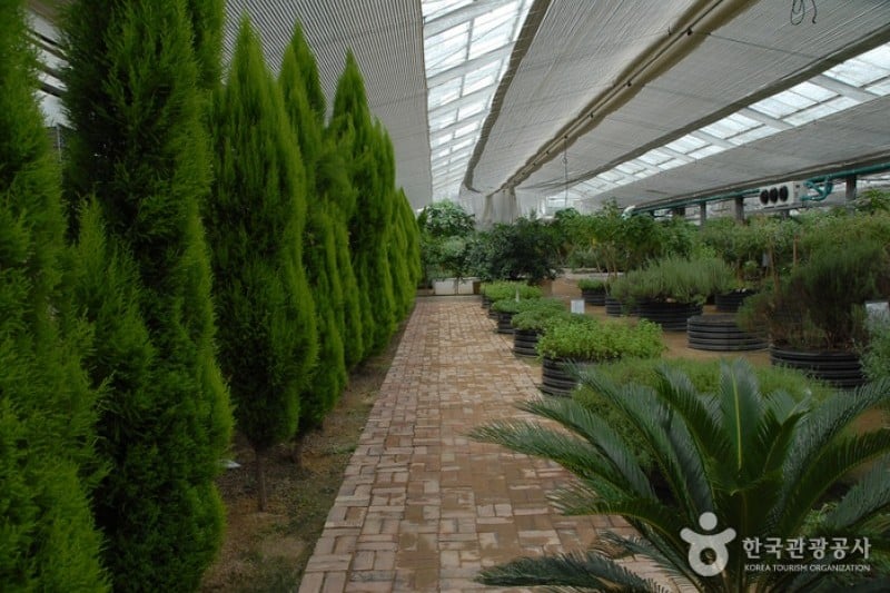 世界花植物園 (4/31)