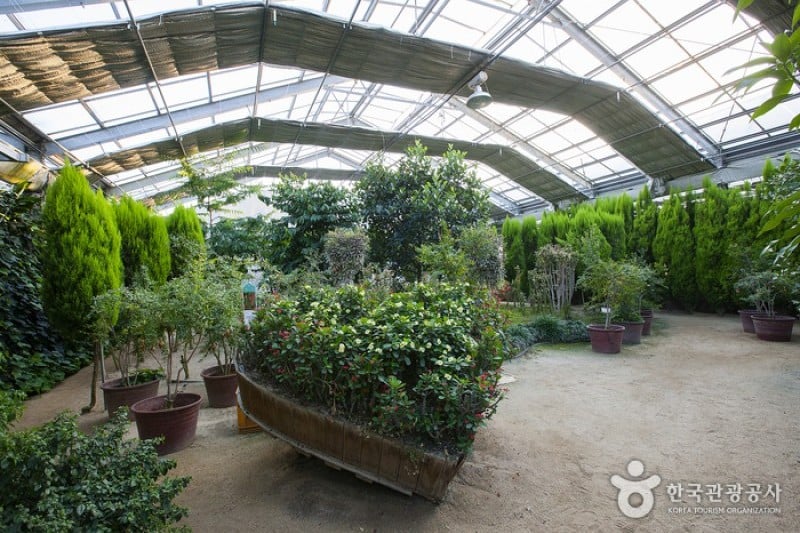 世界花植物園 (9/31)