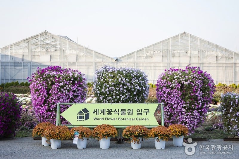 世界花植物園 (12/31)