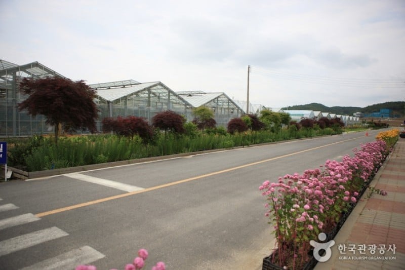 世界花植物園 (13/31)