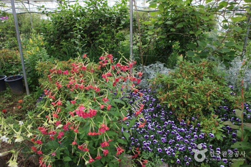 世界花植物園 (14/31)