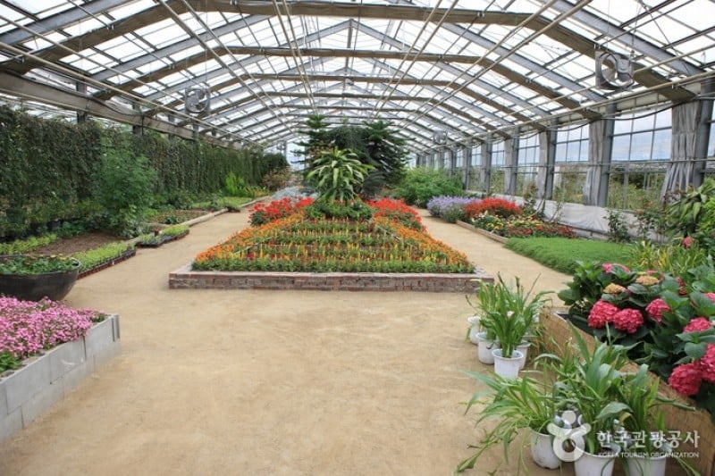 世界花植物園 (15/31)