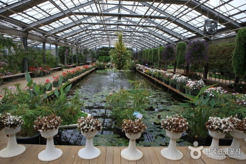 世界花植物園 (16/31)