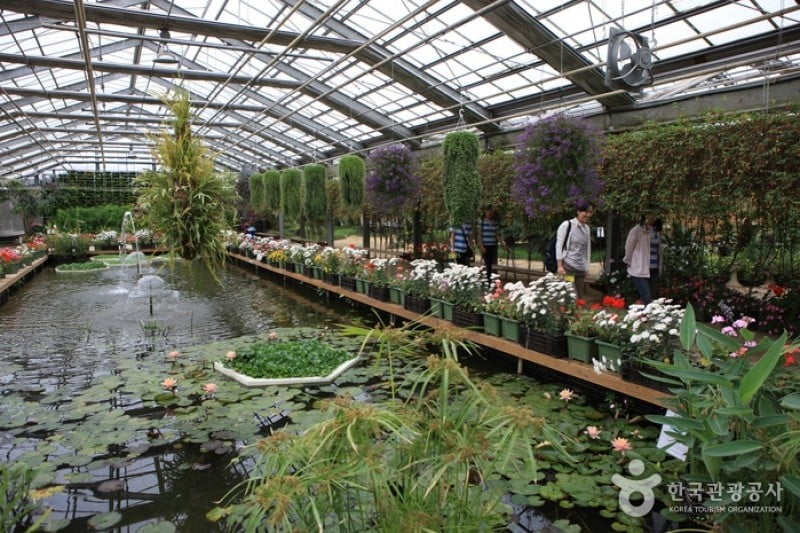 世界花植物園 (17/31)