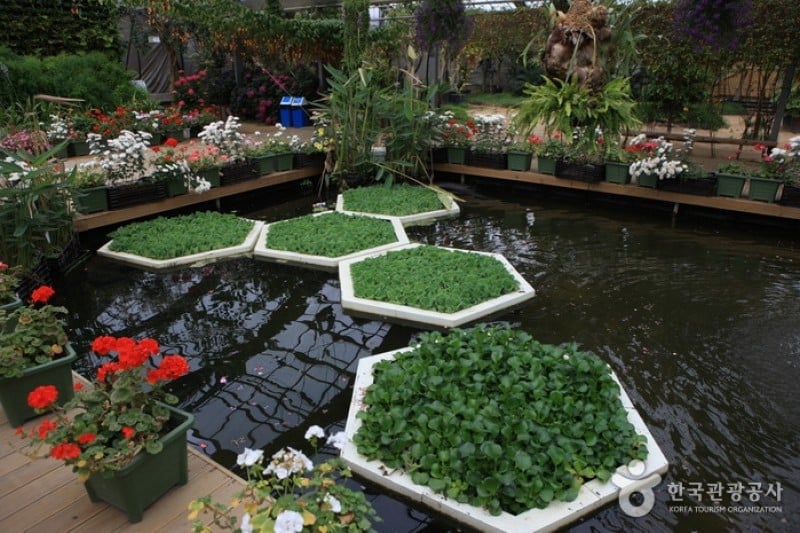 世界花植物園 (18/31)