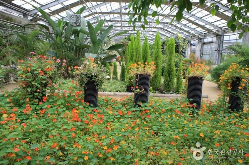 世界花植物園 (20/31)