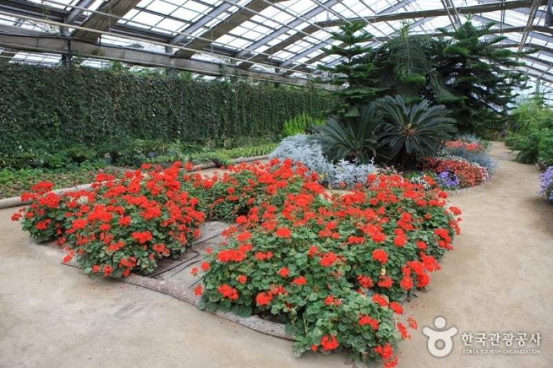 世界花植物園 (21/31)