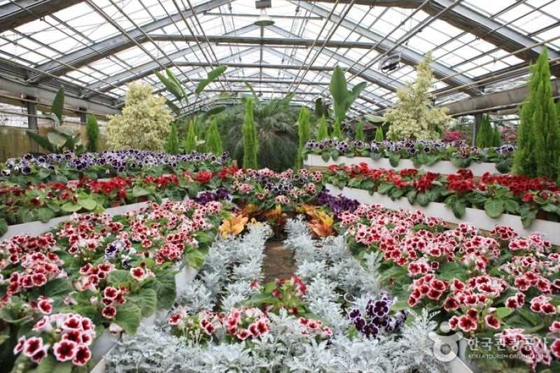 世界花植物園 (22/31)