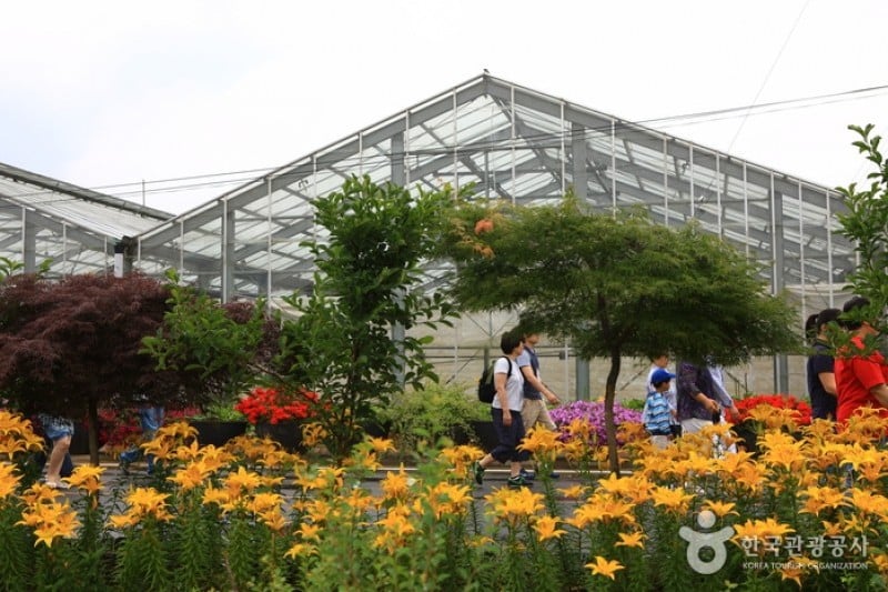 世界花植物園 (24/31)
