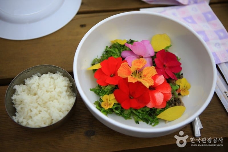 世界花植物園 (25/31)
