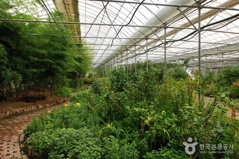 世界花植物園 (27/31)