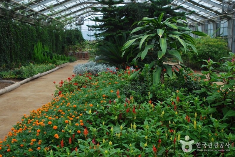 世界花植物園 (29/31)