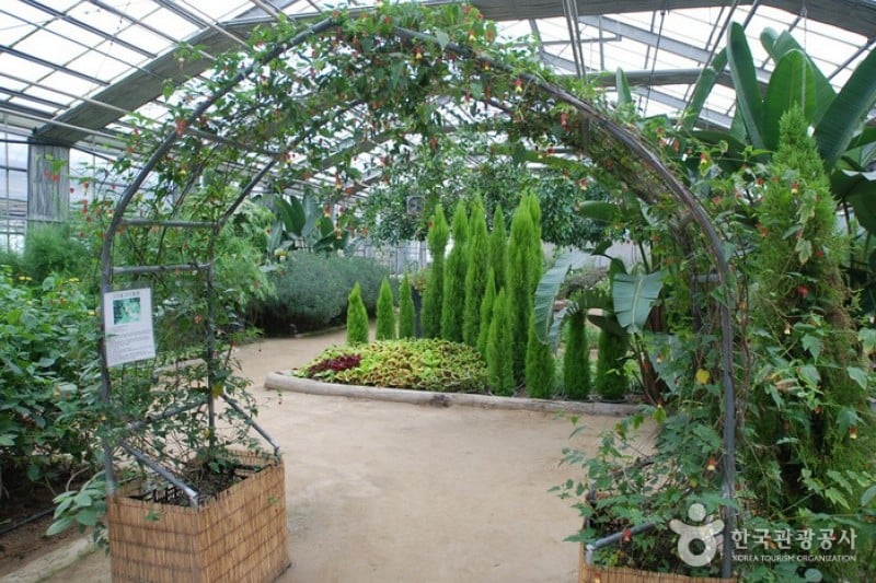 世界花植物園 (30/31)