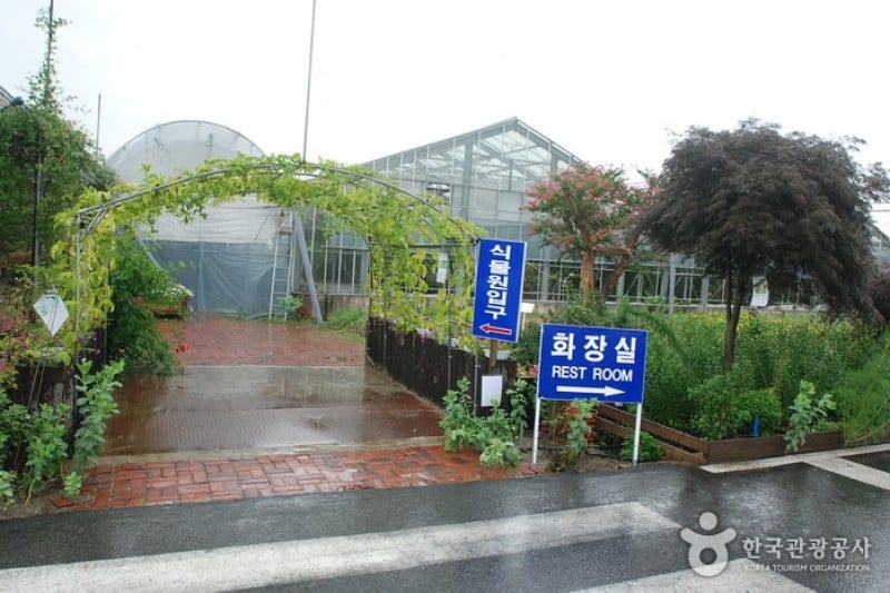 世界花植物園 (31/31)