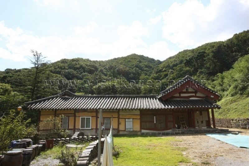 鳳谷寺 (5/19)