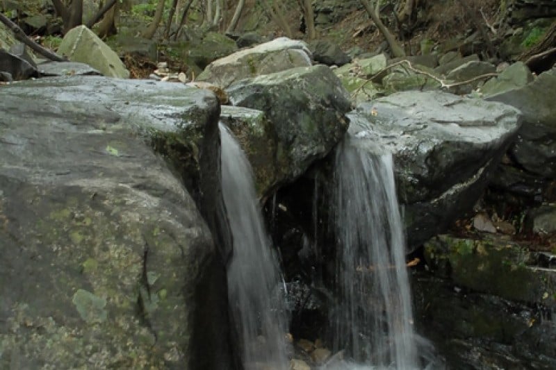 鳥棲山 (2/6)