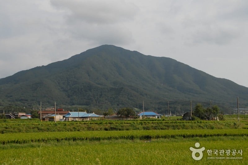 鳥棲山 (3/6)