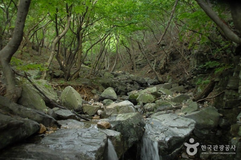 鳥棲山 (4/6)