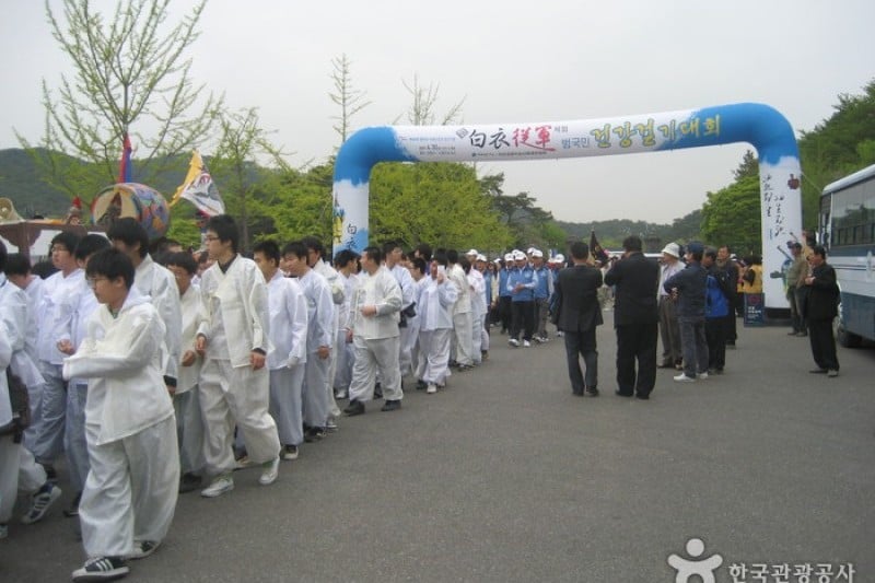 牙山聖雄李舜臣祭り (3/9)