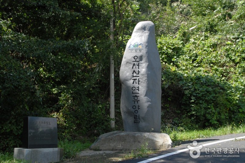 烏棲山自然休養林 (3/17)