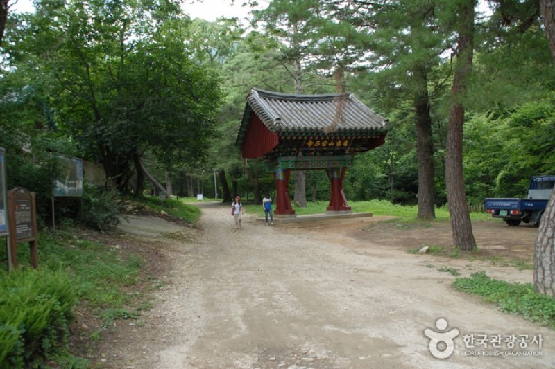 宝石寺 (2/21)