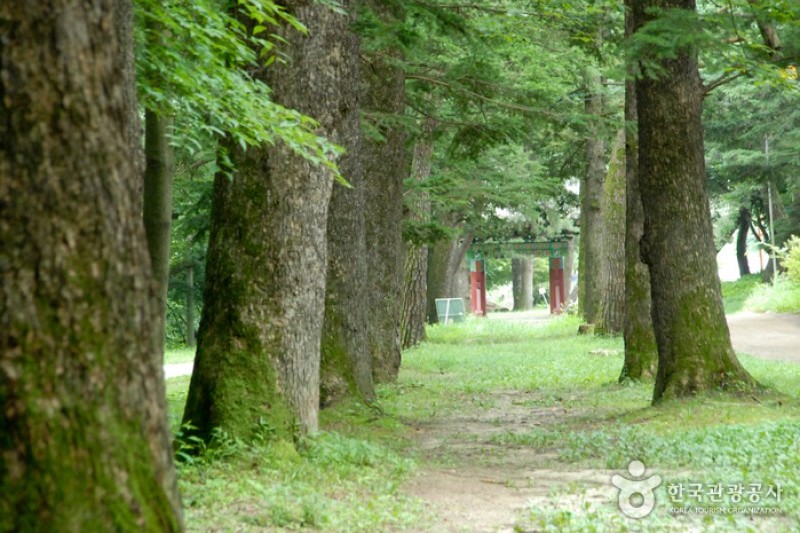宝石寺 (5/21)